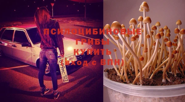 марихуана Коряжма
