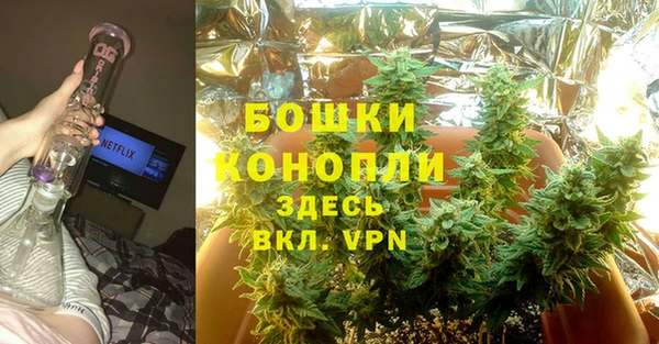 Альфа ПВП Ессентукская