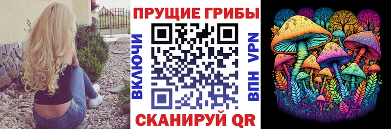 нарко площадка как зайти  Эртиль  Галлюциногенные грибы Psilocybine cubensis 