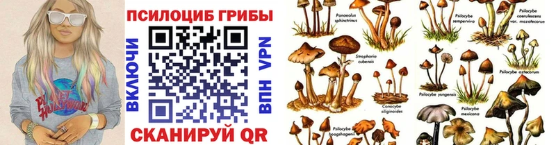 Псилоцибиновые грибы Cubensis Эртиль